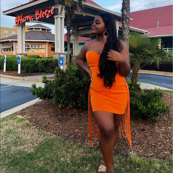 Meet your Posher, Giselle - Picture 1 of 1